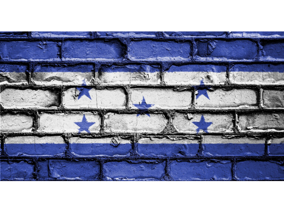 Honduras flag painted in bricks 